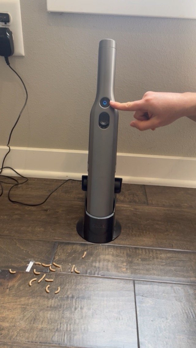 Shark WandVac Vs Dyson V8