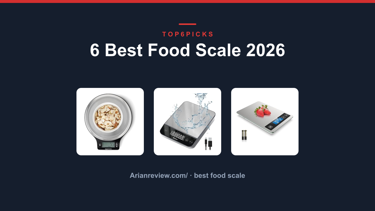 6 Best Food Scale 2026