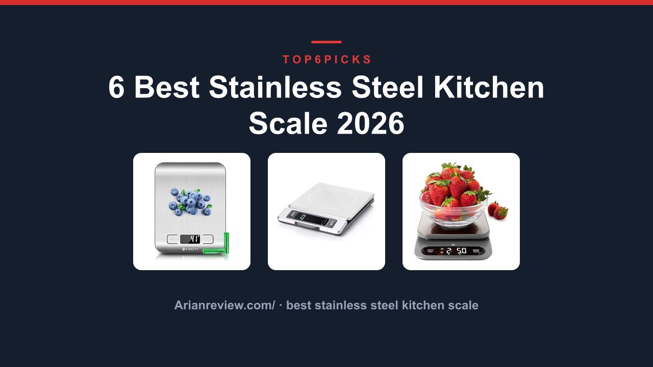 6 Best Stainless Steel Kitchen Scale 2026