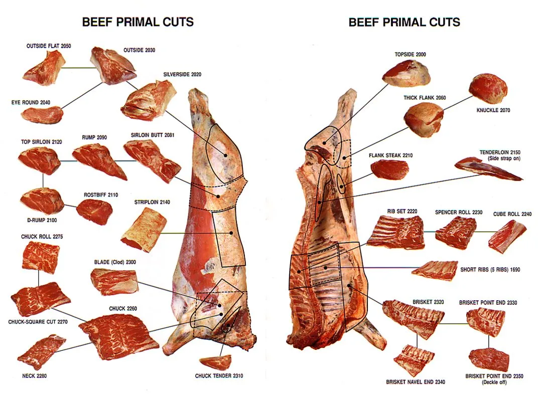 beef primal cuts
