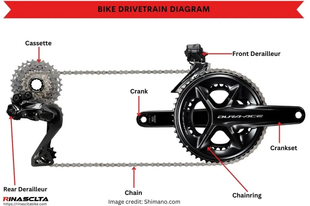 belt vs chain drivetrain