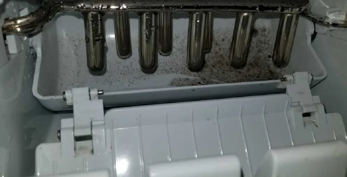 Cleaning an ice maker