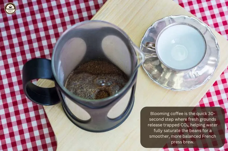 coffee bloom