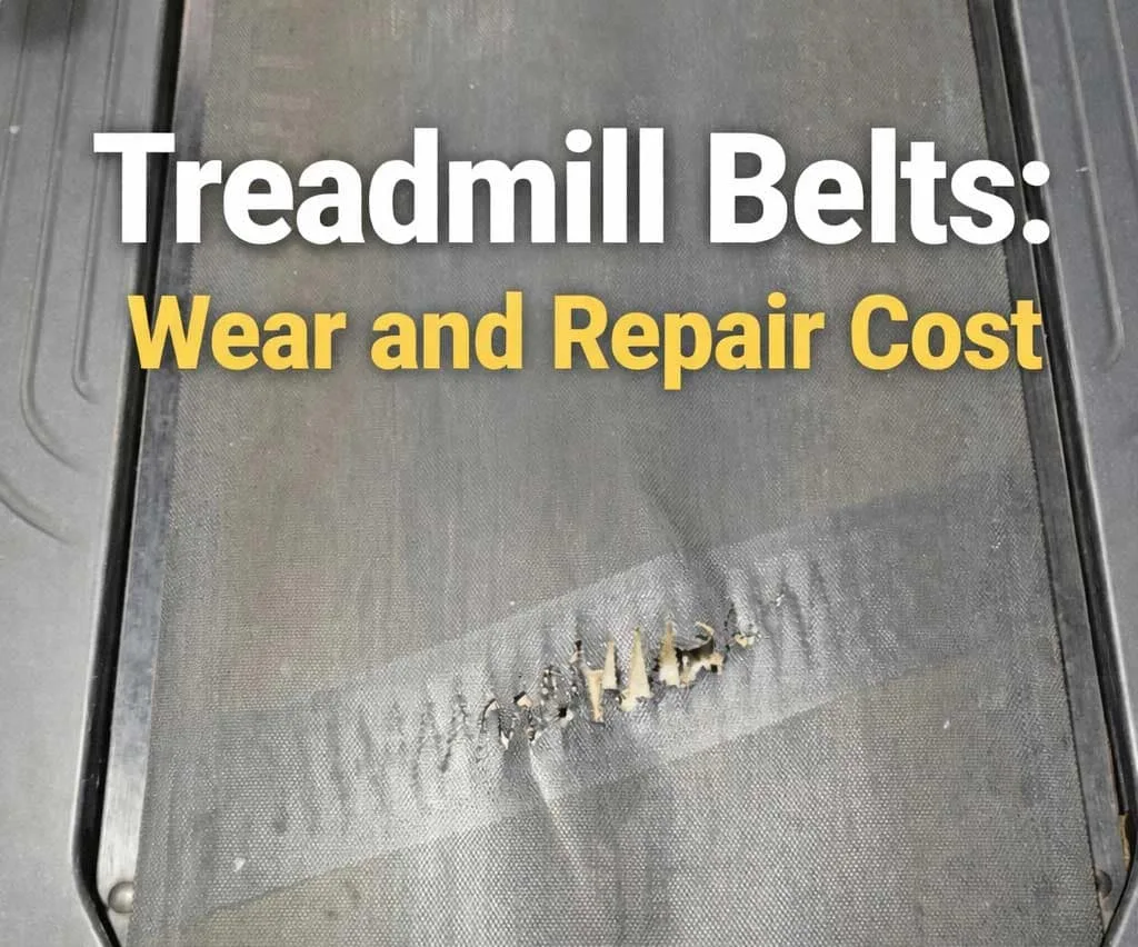 how long do treadmill belts last