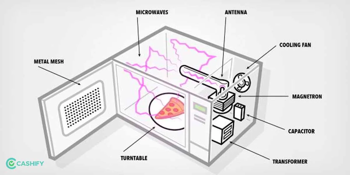 How Microwave Convection Actually Works
