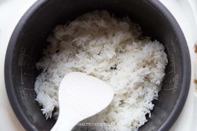 how to cook jasmine rice in a rice cooker
