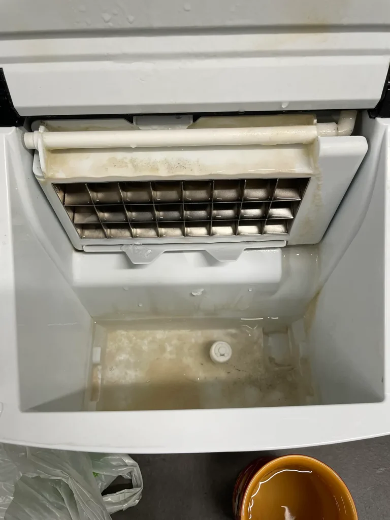 how to prevent ice maker mold