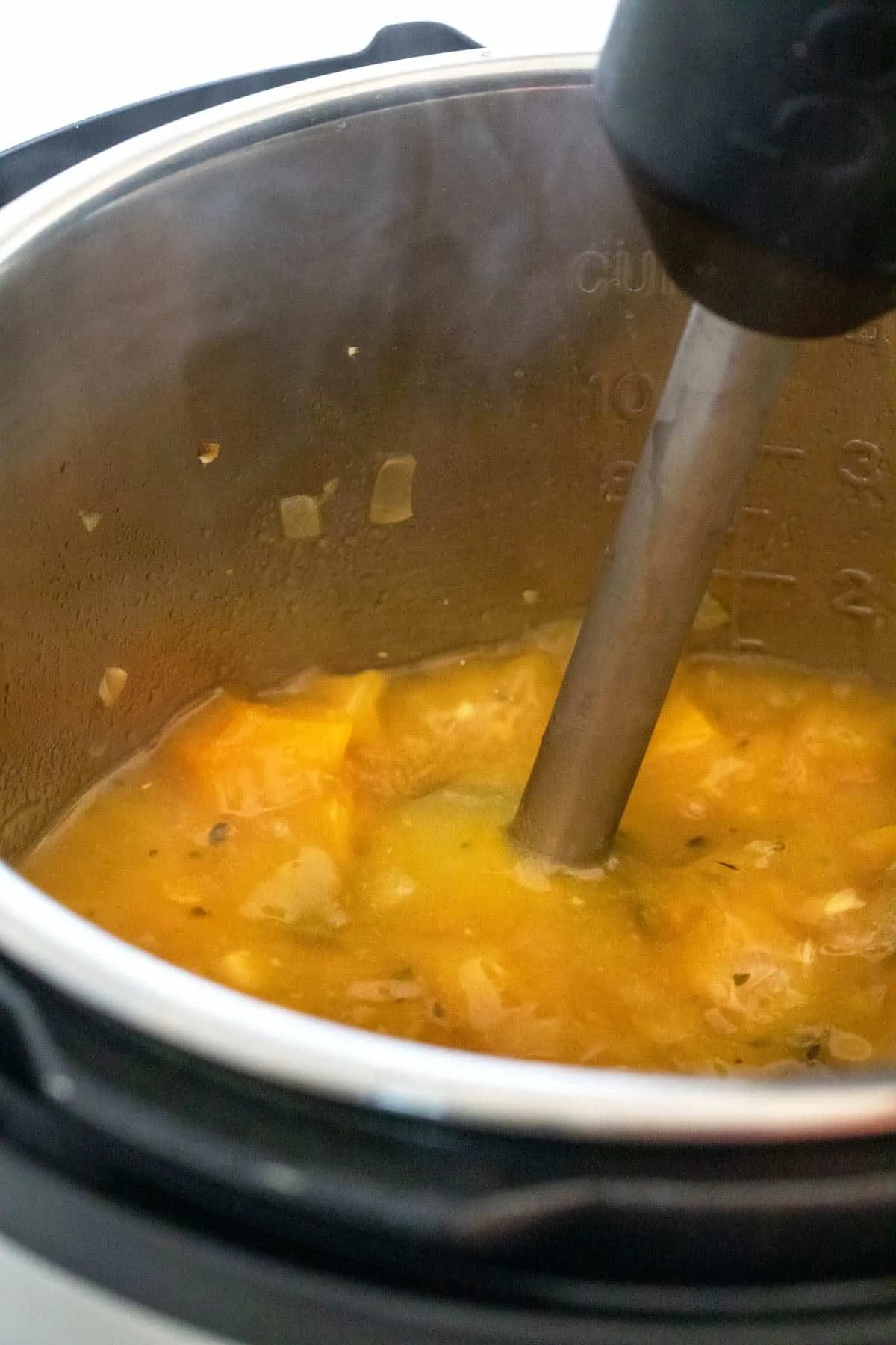 Immersion Blender