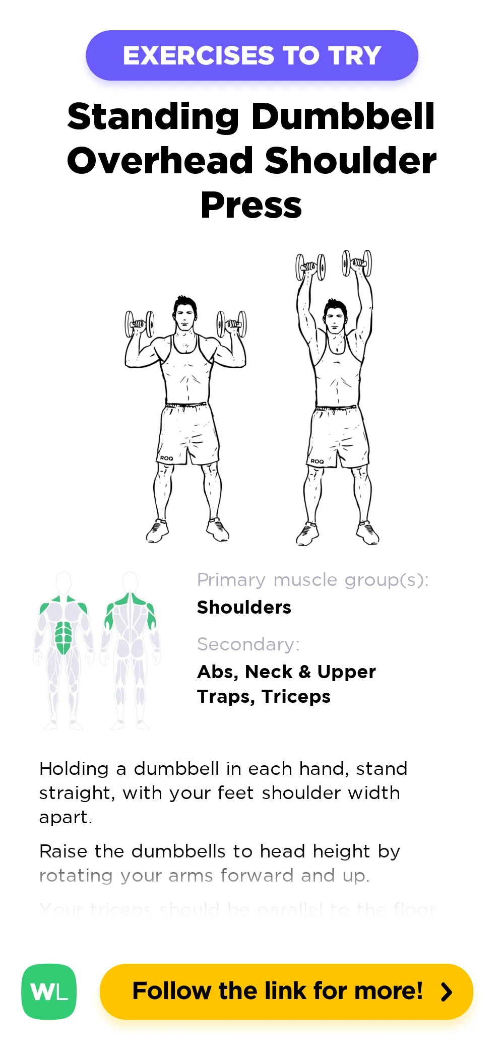 Key Form Cues for Common Exercises