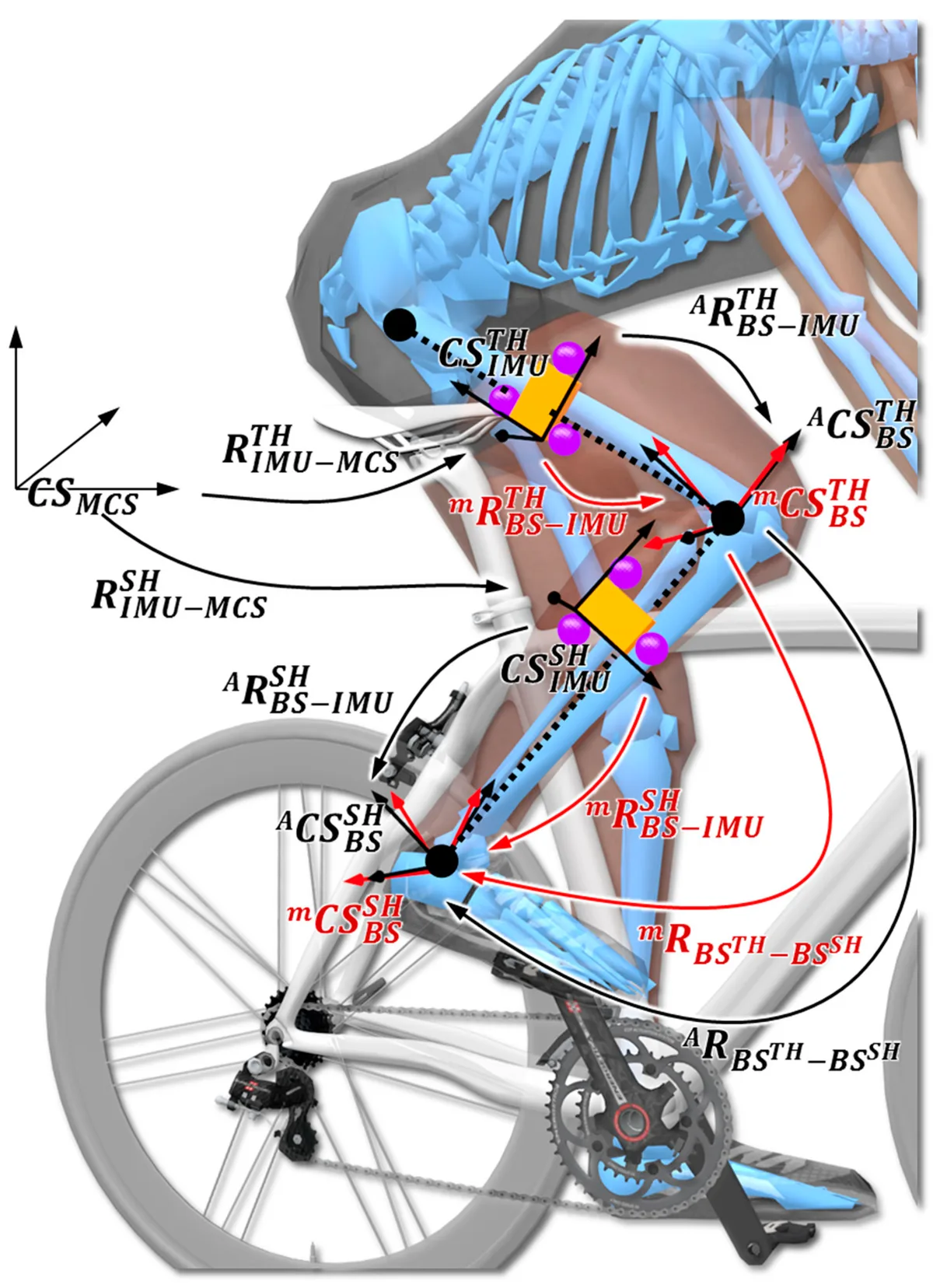 knee flexion angle