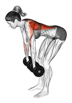 Pronated Grip