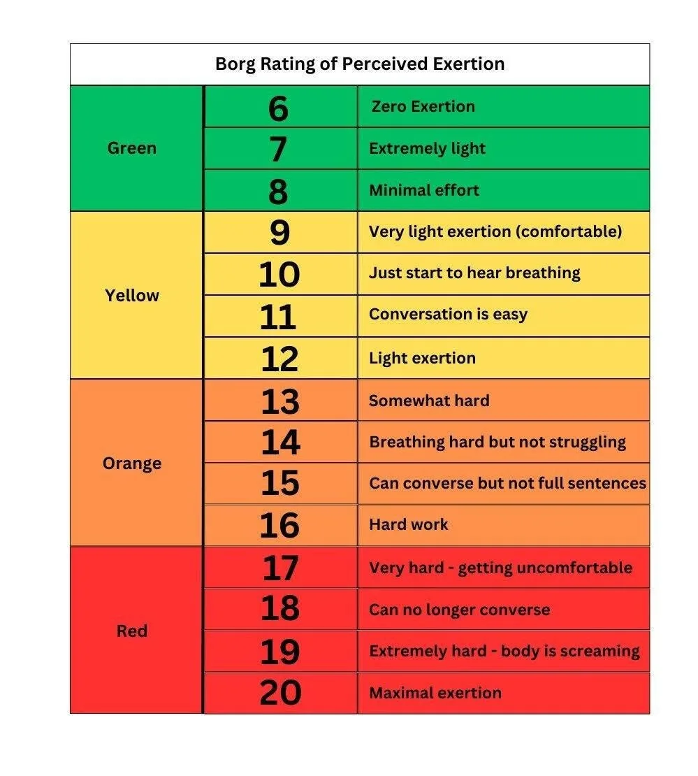 Rate of Perceived Exertion (RPE / Borg Scale)