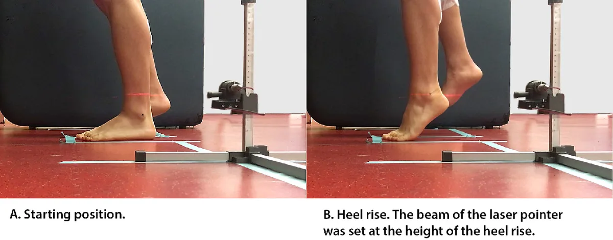 saddle height