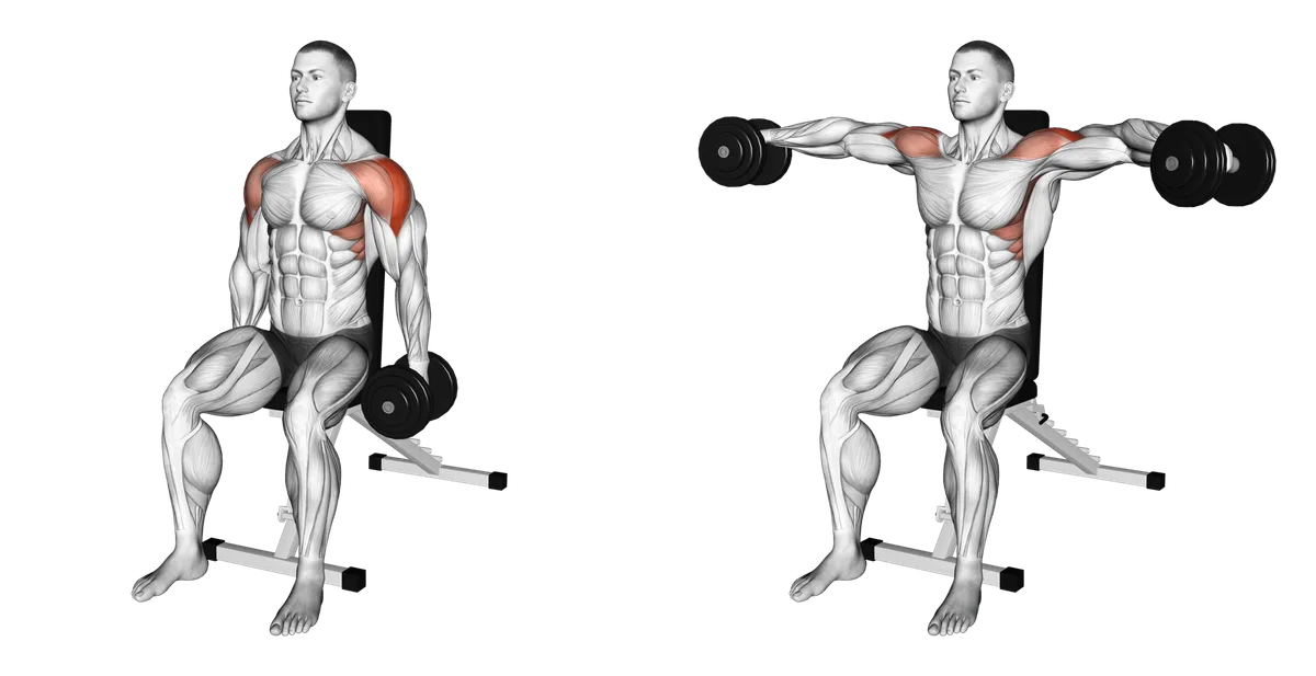 Shoulders (Deltoids): Presses, Raises, and Flyes