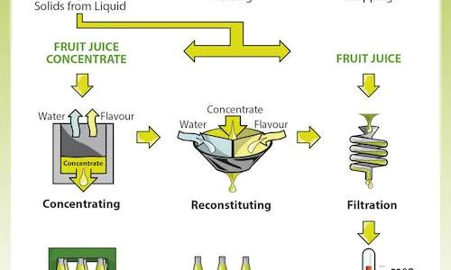 Troubleshooting Pulp Clogs: A Decision Tree Approach