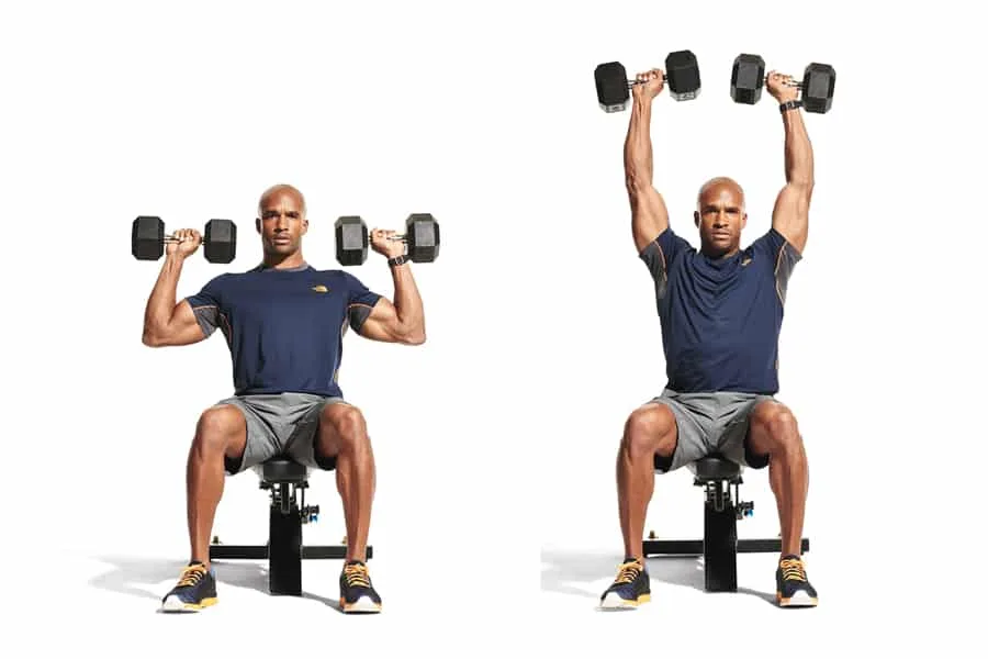 What muscles do dumbbells work
