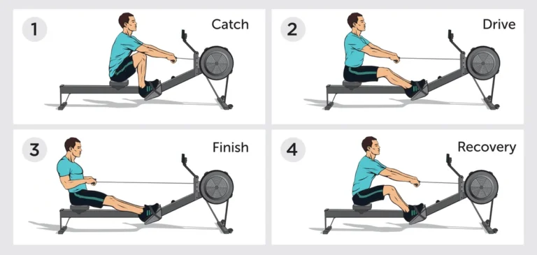 What muscles does a rowing machine work