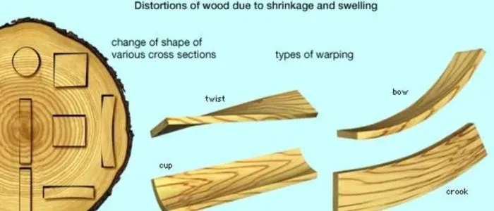 Wood fibers Under Stress